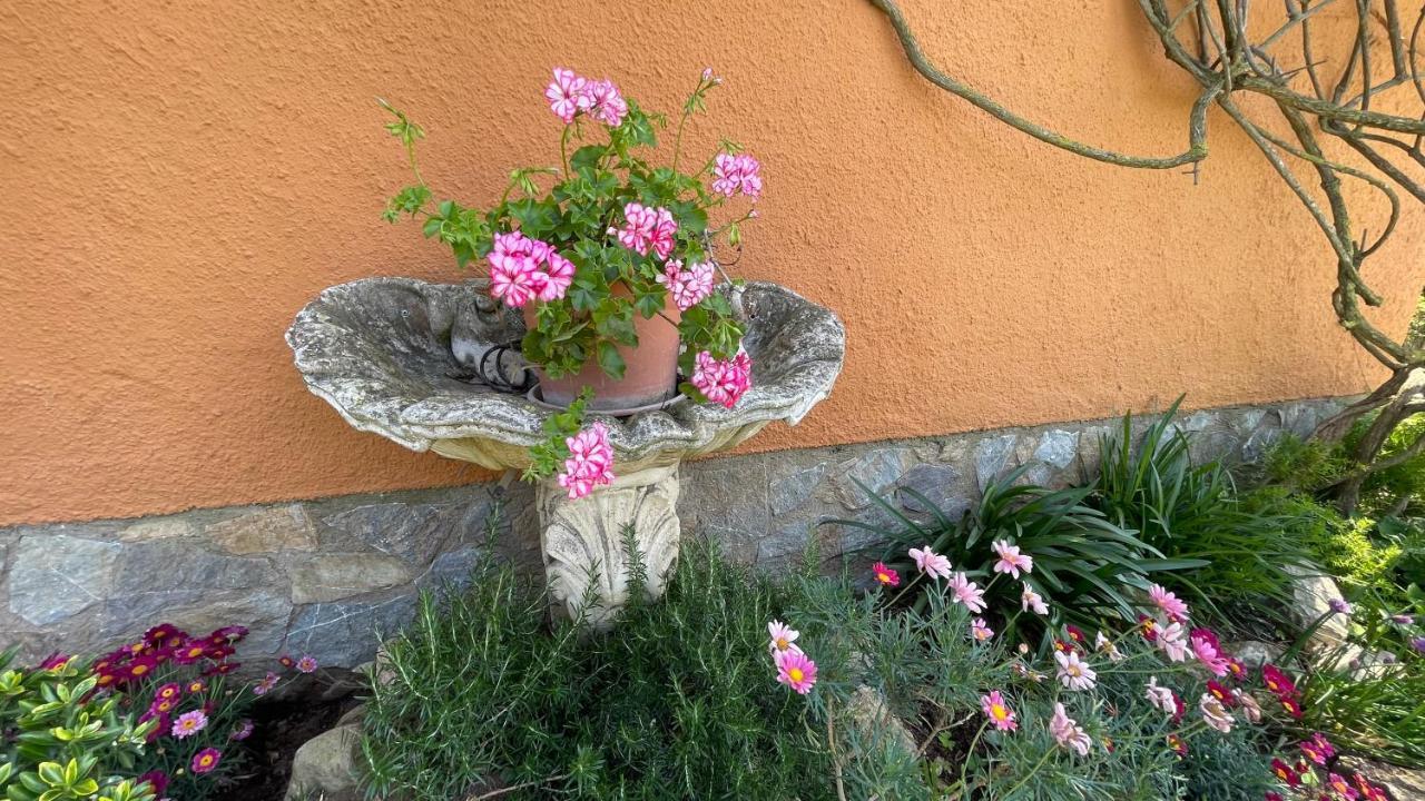 Villa Bellavista Begur Esterno foto